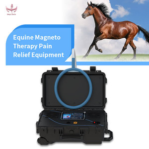 Equipo de Magnetoterapia Magic Belle para Alivio del Dolor en Caballos, Dispositivo de Rehabilitación Equina con Almohadilla de Bobina, Unidad Veterinaria Portátil - Product Image 1