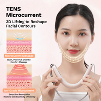 Appareil de lifting du visage portable TENS à microcourants, masseur à impulsions, lumière LED rouge et bleue, compresse chaude constante, réduit la graisse du visage