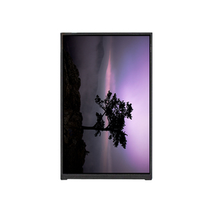 BP080WX7-200 CELL FOG คุณภาพสูงจอแสดงผล LCD 8.0 นิ้ว 800RGB *1280 WXGA 188PPI สำหรับแท็บเล็ต - Product Image 2