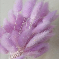 Herbe de queue de lapin séchée blanche naturelle Lagurus Ovatus, bouquet de fleurs séchées moelleuses pour la décoration de la maison et de mariage