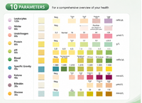 Bandelettes de test urinaire URS-10T, 10 paramètres, kit d'analyse d'urine, bandelettes de test urinaire médical