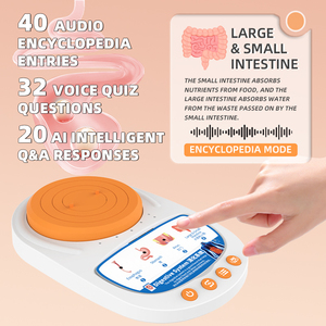 Base para el Modelo Humano de Exhibición que Explica <span class=keywords><strong>los</strong></span> Principios de la Educación Científica del Sonido con Pantalla Giratoria - Product Image 4