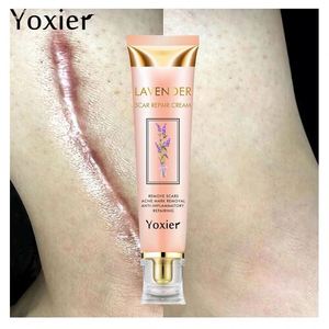 Crème réparatrice de cicatrices à base de plantes à la lavande Yoxier Correction du pigment Lissage de la peau Blanchiment des cicatrices Soins réparateurs rapides Soins confortables En stock - Product Image 2