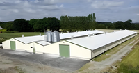 Estructuras de Acero Portales Soldadas Ligeras y Duraderas para Cobertizos de Ovejas/Vacas/Cabras, Totalmente Cerrados o Semi-Cerrados, para Granjas, con Servicio de Corte y Doblado
