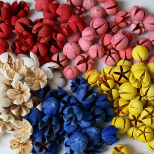 500g de Pistachos con Flores Secas Naturales, Frutos Cruzados, Mini Frutos Felices en Cáscara para Decoración del Hogar, Material para Manualidades de Boda - Product Image 6