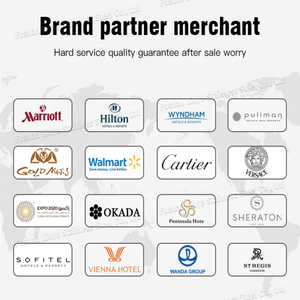 Portes coulissantes en acier inoxydable sur mesure ODM OEM, design accordéon, décoration en fibre de verre, pour hall d'hôtel, villa, extérieur, supermarché - Product Image 5