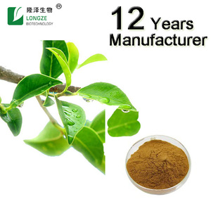 <span class=keywords><strong>MatchaTea</strong></span> Powder Ceremonial Matcha Grüner Tee hinterlässt gesundes grünes Matcha-Pulver - Product Image 4