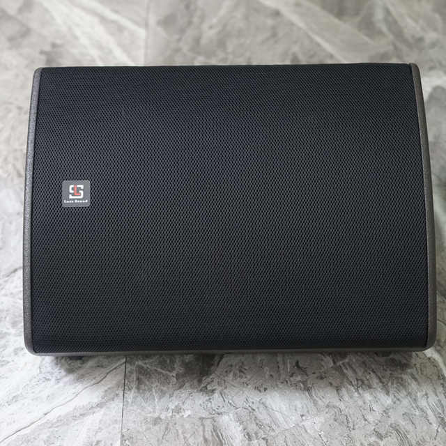 LASE LX-15 Professional 15inch Stage Concert System Monitor Speakers Studio Equipment Outdoor Audio System