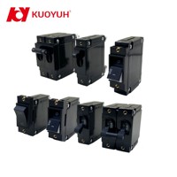 Disjoncteur magnétique hydraulique bipolaire KUOYUH série JL 80V CC, capacité de coupure 5 kA, montage sur panneau, industriel/maritime