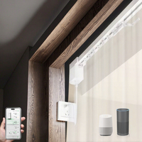 Système de moteur de rideau électrique intelligent Tuya, rail de rideau motorisé pour salon, télécommande, compatible Alexa et Apple Home