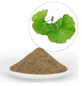 Best Quality Factory Supply Bulk Organic <strong>Ginkgo</strong> Biloba <strong>Extract</strong> on Sale - Product Image 1