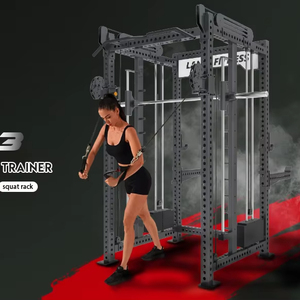 Structure d'entraînement multi-fonctions avec système de câbles pour tractions dorsales, rameurs et tractions, idéale pour une salle de sport à domicile. - Product Image 1