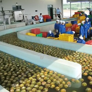 Presse-agrumes commercial presse à froid lente mangue/pomme/orange ananas presse à froid extracteur de jus ligne de Production - Product Image 4