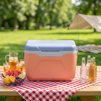 Icemaster Plezier 5.5l Fabrikant Goedkope Prijs Lekvrij Food Grade Pp Kleine Roze 5,5l Camping Koelbox Met Handvat Voor Vissen