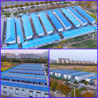 Maison conteneur de luxe à 2 étages fabriquée en Chine avec 4 chambres, structure en acier étanche pour appartement/villa