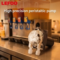 Pompe péristaltique micro 24V LEFOO Food-Great 4200 ml/min, fabricants de pompes péristaltiques pour machines à jus