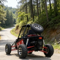 Go-Kart Todoterreno de Gasolina de 200cc, Vehículo Todoterreno de Cuatro Ruedas, Versión Monoplaza para Montaña y Selva
