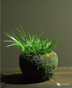 En gros <span class=keywords><strong>Pas</strong></span> <span class=keywords><strong>Cher</strong></span> Petit <span class=keywords><strong>Balcon</strong></span> Extérieur Pierre Fleur Planteur Pots - Product Image 4