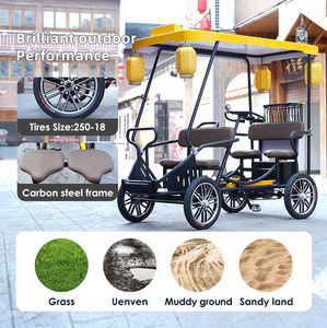 Tricycle électrique simple de 500W avec quatre sièges et freins à disque de version de vélo à quatre <span class=keywords><strong>roues</strong></span> de couple pour le transport de marchandises - Product Image 4