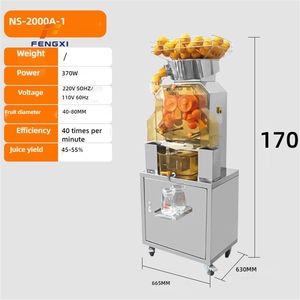 Mixeur-Extracteur Commercial FXT 110V avec Moteur Puissant 120W pour Smoothies et Boissons Glacées - Product Image 3