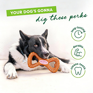 Toptan Yok Edilemez Köpek Diş Temizleme Oyuncakları Doğal Ahşap Temizleyici Dayanıklı Çiğneme Oyuncakları Büyük Köpekler İçin Çevre Dostu Agresif Çiğneyiciler İçin - Product Image 4