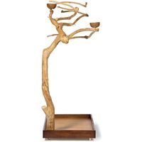 Perchoir pour oiseaux en bois de café écologique, support artisanal pour perroquets pour le jeu, l'entraînement et l'exposition, accessoires pour animaux de compagnie, fournitures pour animaux de compagnie en gros