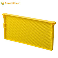 Cadre plastique de ruche avec peigne, ruche abeille, prix d'usine