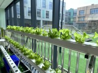 Système hydroponique NFT pour la culture de légumes sans terre, équipement d'irrigation agricole à base de tuyaux haute rigidité