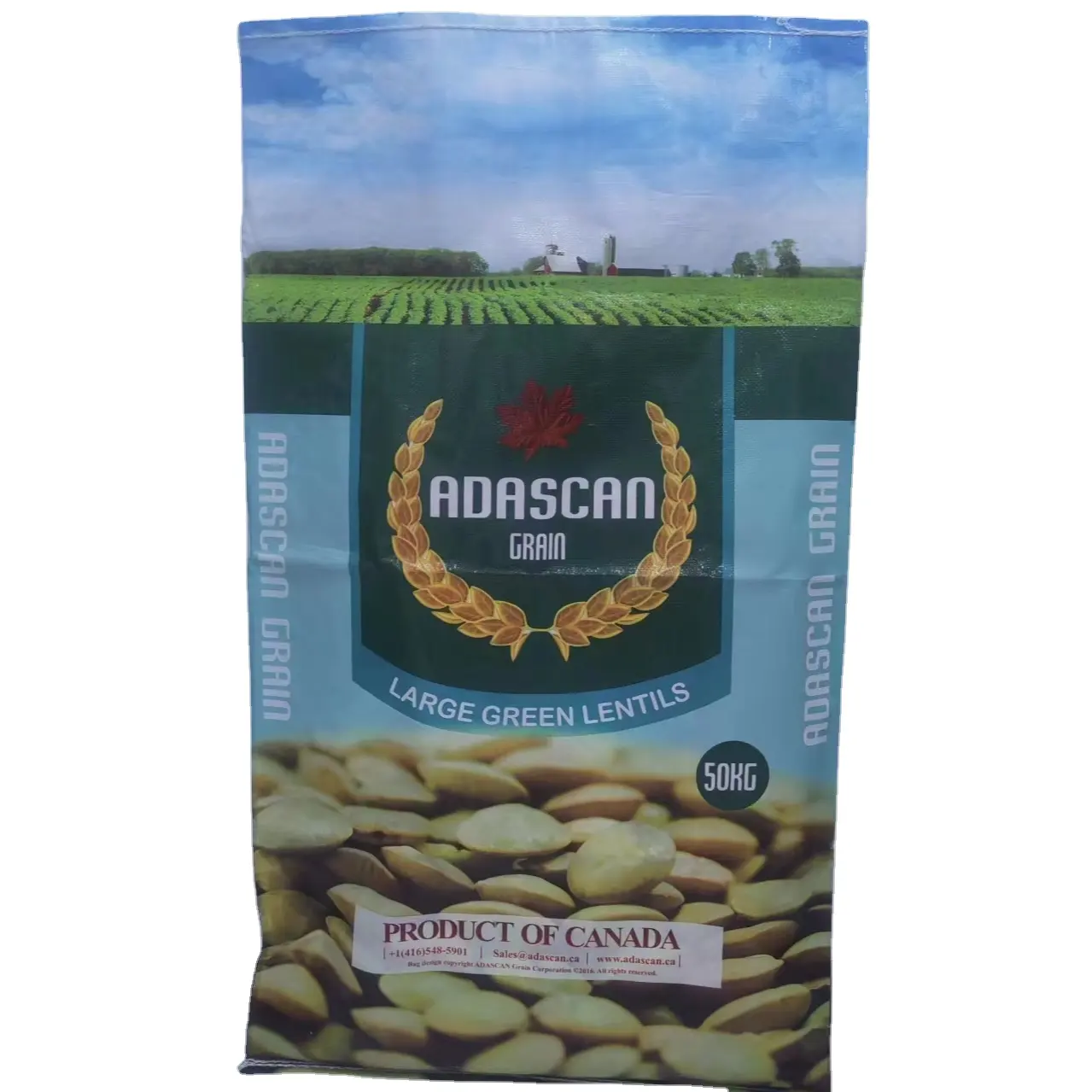 50kg 25kg grain bean pulses green lentils corn herbs bran wheat flour rice seed packing pp woven bags with logo printing