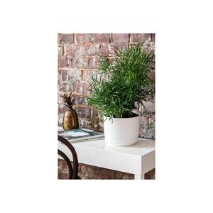 ORTHEX blumentopf Paulina MIT bewässerungssystem Ø30cm weiเสีย - Product Image 2