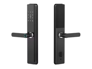 홈 보안 시스템을 위한 지문 및 원격 APP 제어 키리스 엔트리로 신상품 스마트 WiFi 생체 인식 도어락 - Product Image 2
