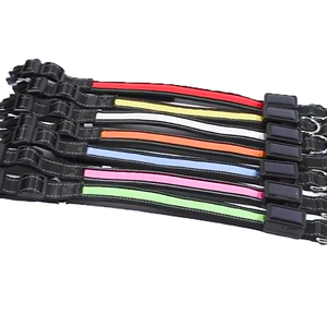 सौर संचालित यूएसबी चार्जिंग नेतृत्व वाले कुत्ते कॉलर के साथ पालतू रात चलने की सुरक्षा के लिए बकल बंद - Product Image 2