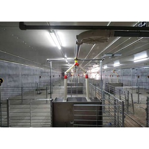 Progetto Chiavi in Mano per Allevamento Suini, Attrezzatura Automatica per l'Allevamento di Suini, Anti-Corrosione, per Sud-est Asiatico e Sud America - Product Image 1