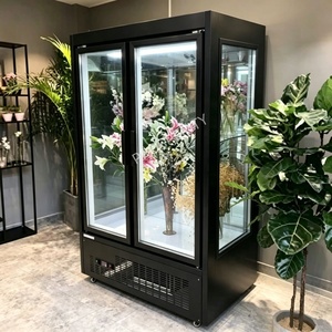 Enfriador de Flores Frescas con Enfriamiento por Aire, Florería, 2 Puertas Dobles, Puerta de Vidrio Exterior, Refrigeradores con Pantalla de Temperatura Única en Venta - Product Image 1