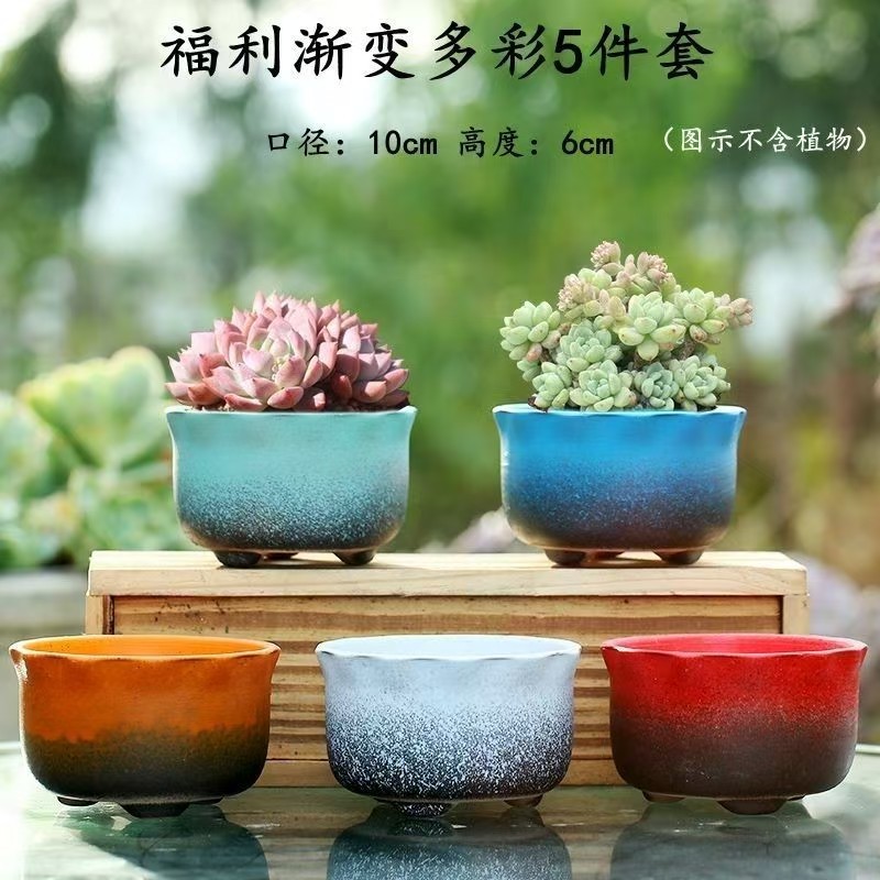 Ensemble de bien-être progressif et coloré de 5 pièces