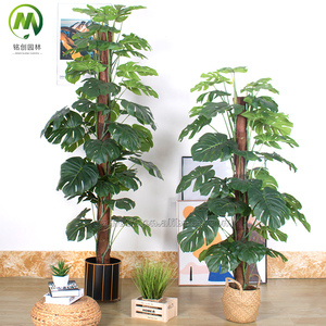 Piante Artificiali <span class=keywords><strong>da</strong></span> Interno all'Ingrosso, <span class=keywords><strong>Bonsai</strong></span> in Vari Stili, Pianta di Taro e Foglia di Monstera Fatte a Mano per Decorazione Casa e Ufficio - Product Image 1