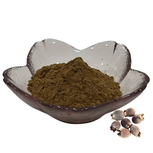 Натуральный порошок Miswak <span class=keywords><strong>Salvadora</strong></span> <span class=keywords><strong>Persica</strong></span> Miswak экстракт порошка <span class=keywords><strong>Salvadora</strong></span> <span class=keywords><strong>Persica</strong></span> экстракт - Product Image 2