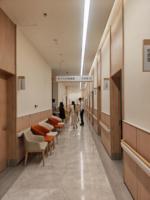 Panneau mural en résine antibactérienne pour hôpital, revêtement mural hygiénique en PVC vinyle pour projets de santé