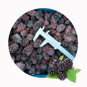 LQF Diepvriesverse Zwarte Bessen Ongesuikerd Hele in Bulk 10KG/VERPAKKINGEN SHARP DRAGON Groothandel - Product Image 4