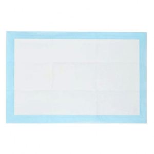 Tapis absorbant pour chien et chat, couche absorbante épaisse anti-odeur pour chien, tapis jetable pour urine de chien - Product Image 4