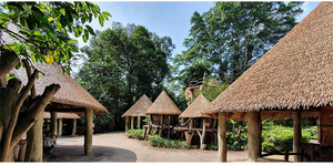 Panneaux <span class=keywords><strong>de</strong></span> chaume synthétique pour huttes tiki <span class=keywords><strong>de</strong></span> <span class=keywords><strong>Bali</strong></span> en Afrique du Sud, design traditionnel, imperméable, ignifuge, toit en herbe pour hôtels et huttes tiki - Product Image 5