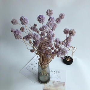 Venta caliente flores preservadas multi cabezas molino de viento fruta preservada Scabiosa <span class=keywords><strong>Pino</strong></span> <span class=keywords><strong>gusano</strong></span> maíz para decoración <span class=keywords><strong>del</strong></span> hogar - Product Image 6