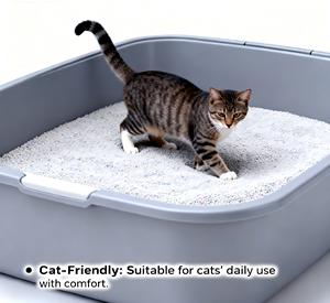 Échantillons Gratuits Nouvelle Litière pour Chat BENJIE 5L à Base de Bentonite, Contrôle Supérieur des Odeurs, Faible Émission de Poussière, 99% Sans Poussière, Emballage Personnalisé - Product Image 3