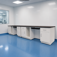 Meuble de laboratoire scolaire tout acier personnalisé avec armoire de rangement pour ordinateur, 2 tiroirs, garantie de 2 ans - Mobilier de laboratoire professionnel pour