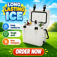 Mini glacière pour pique-nique, boîte isotherme, service OEM