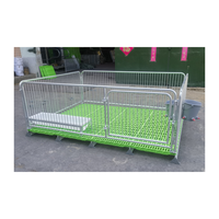 Cages pour animaux d'élevage et de reproduction, taille personnalisable, état neuf, pour agneaux et chèvres jeunes.