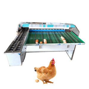 Egg Weight Grading Machine Egg Cleaning Grading Machine New Price Automatic Egg Grader - Product Image 1