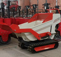 Produit phare 2023 : Mini-dumper sur chenilles de qualité supérieure, fourni directement par l'usine
