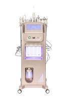 Machine faciale d'hydrodermabrasion haut de gamme 10 1 pour les salons de beauté technologie multifonctionnelle de vide d'équipement de nettoyage facial