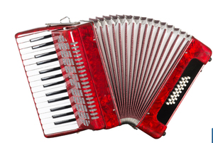 Accordéon à 30 touches et 24 basses en bois - Product Image 4